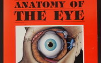 Snell & Lemp clinical anatomy of the eye