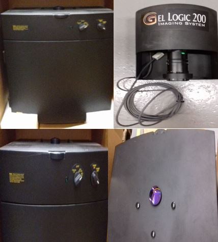 KODAK GL200 SYSTEM