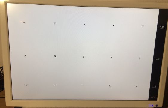 LCD chart screen, 24’’