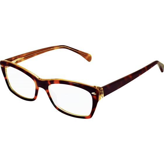 The Victoria Frame Havana 10 Pairs