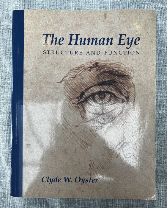The Human Eye Structure and Function