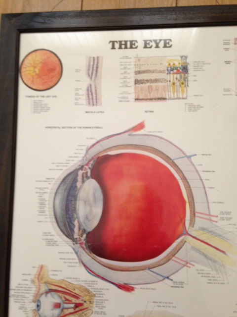 The eye poster