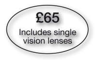 Includes single vision /30
